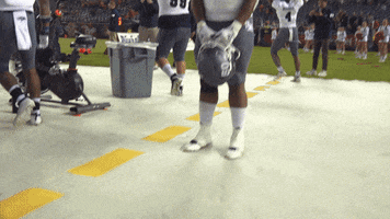 NevadaWolfPack football wolf pack unr nevada wolf pack GIF