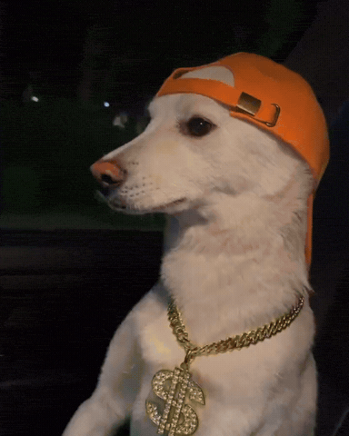 Dawg GIF