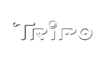 Tripomusic Narda Sticker by Tripo