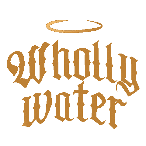 Water Miami Sticker by AKINGSNY