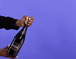 Party Celebrate GIF by Luc Belaire