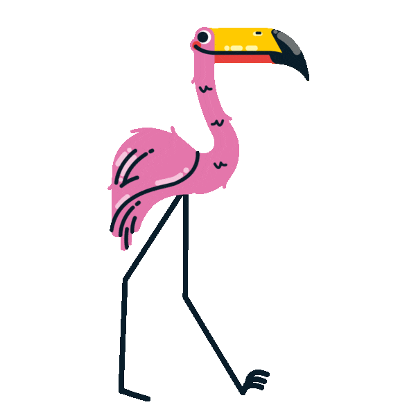 Proud Pink Flamingo Sticker by Lolly Studio