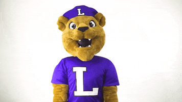 Mascot No GIF by Linfield College