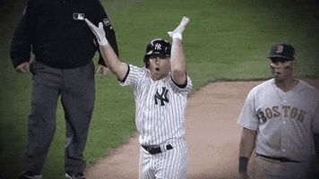 Excited Brett Gardner GIF by New York Yankees