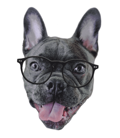 Dog Puppy Sticker