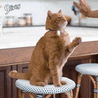200.gif