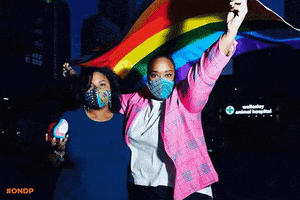 Queens Park Pride GIF by Ontario's New Democrats