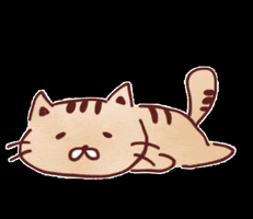 ねこ GIF