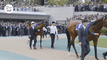 Almond Eye Whr GIF by World Horse Racing