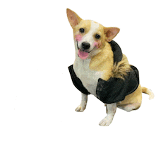 Dog Rescue Sticker