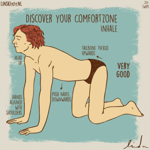 giphy.gif?cid=ecf05e47l9l0m2gn1fayht68hh