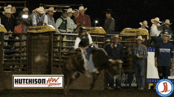 Bull Riding GIFs - Find & Share on GIPHY