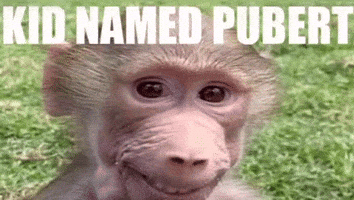 Pubert GIF