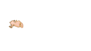 Sticker by LoungeNr1