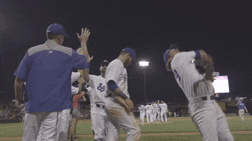 StPaulSaints baseball win high five highfive GIF