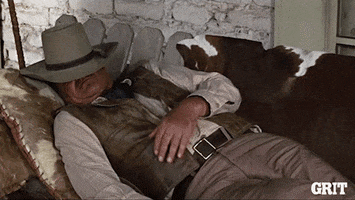 Old West Reaction GIF by GritTV