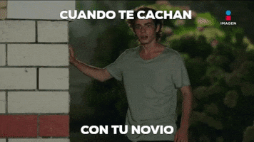 GIF by Imagen Televisión