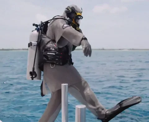 Discovery Dive GIF by Shark Week