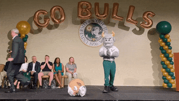Usf Go Bulls GIF by University of South Florida