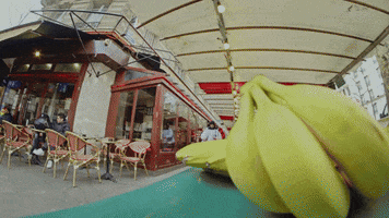 Monkey Fruit GIF