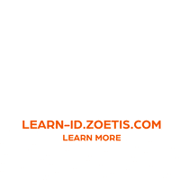 ZoetisPetsIndonesia-zoetis-simparica-apoquel-lVuqA94bFX1cBkUb8y