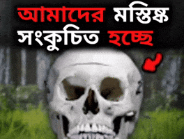 Brain Bangladesh GIF