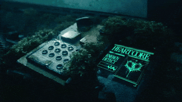 Heyitsaura GIF