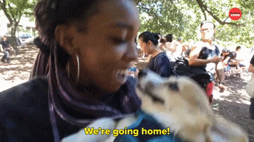 Going Home Dog GIF by BuzzFeed