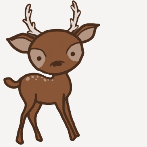 Deer GIF