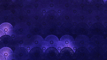 GIF by Verve Label Group