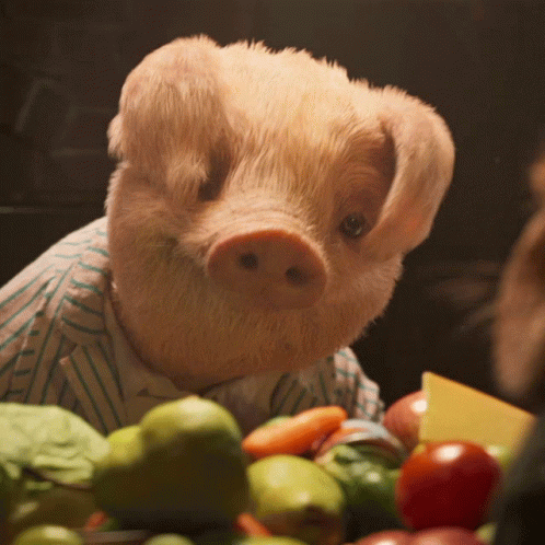 Domhnall Gleeson No GIF by Peter Rabbit Movie