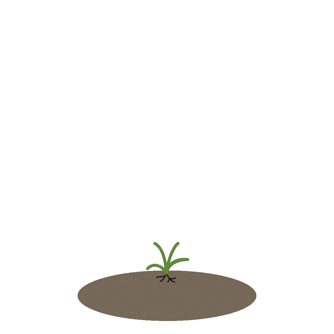 Norges Bondelag Sticker