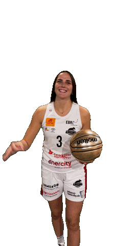 Basketball Look Sticker by TKH Luchse