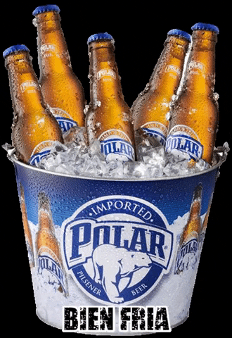 Cerveza Polar Bien Fria GIF