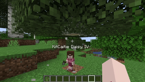 Roamers Minecraft Mod