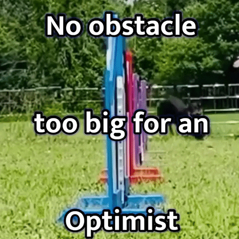 Optimistorg optimism optimist joi dog agility GIF