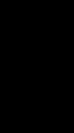 Fast Dog GIF