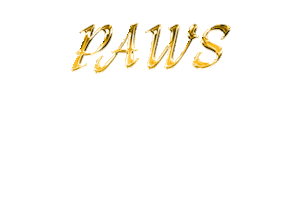 Tigers Sticker