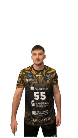 Bundesliga Handball Sticker by hcelbflorenz