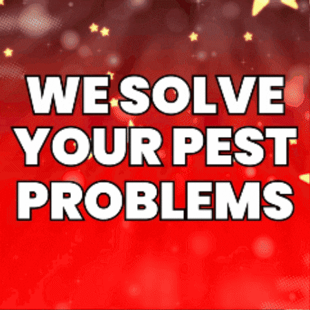 Pauldavis GIF by Patriotic Pest Solutions