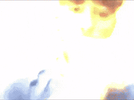 Crashout GIF