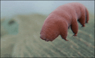 200.gif