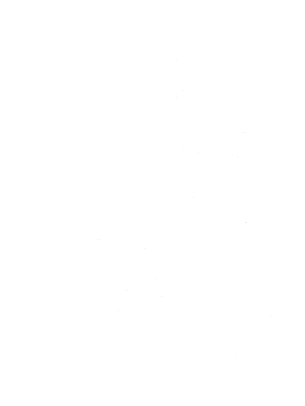 Blindsgalore Sticker