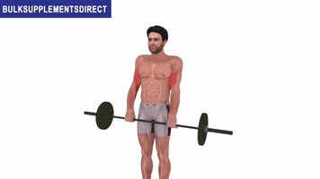 Bulksupplementsdirectcom GIF