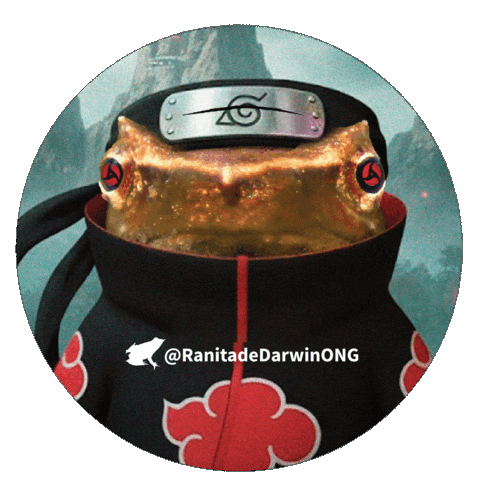 Naruto Shippuden Sticker by Ranita de Darwin ONG