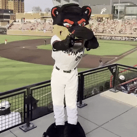 Baseball Mascot GIF by Bearcat
