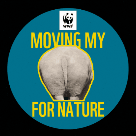 Team Panda 20Km GIF by WWF-Belgium