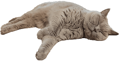 Tired Sticker