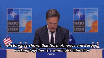 Strongertogether Otan GIF by NATO