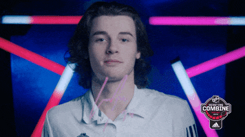 National Hockey League Whatever GIF by NHL
